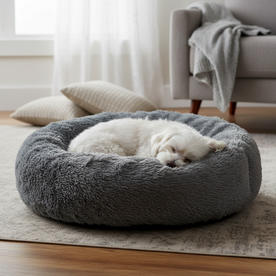 Small fluffy dog in grey bed