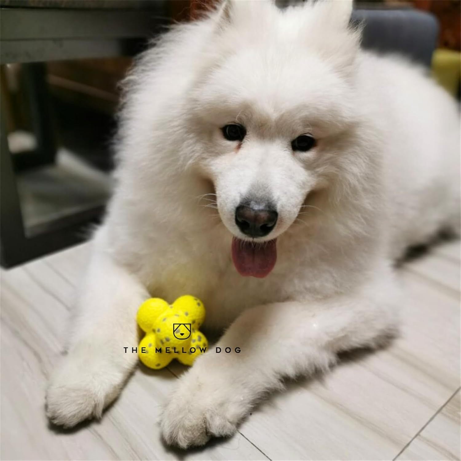 Fairval Yellow Fairval Dog toys Mellow Dog Calming Ball - Personalized for Your Pet