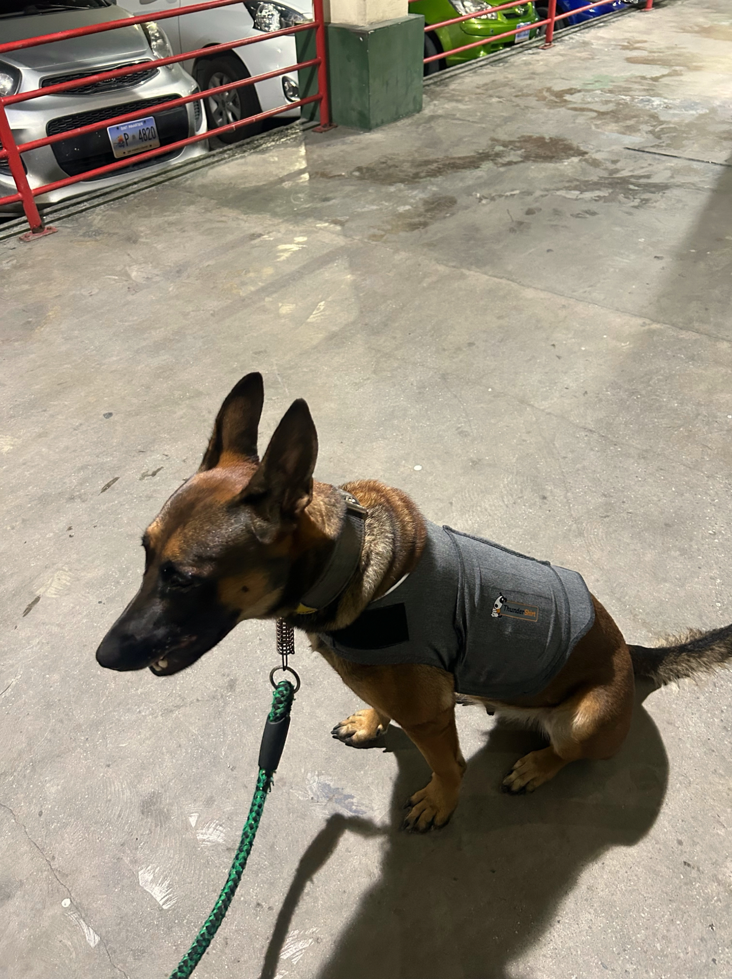 Personalized Dog Anxiety Relief Clothing - Calming Pet Vest