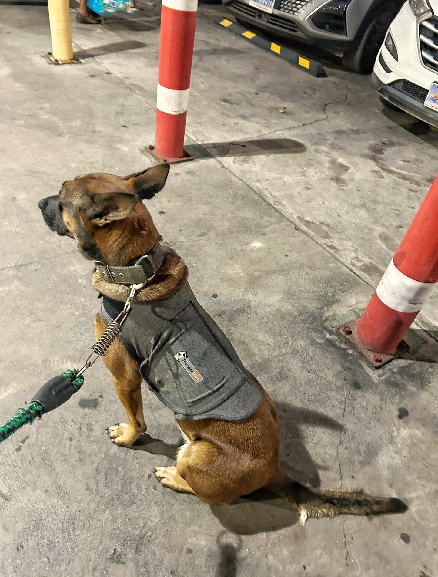 Personalized Dog Anxiety Relief Clothing - Calming Pet Vest