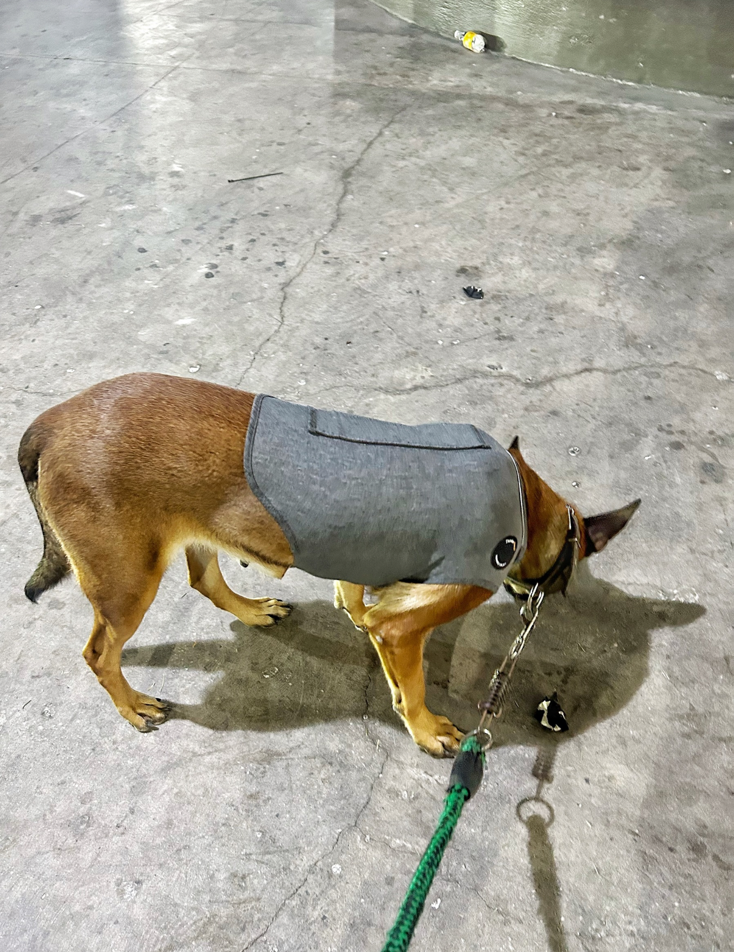 Personalized Dog Anxiety Relief Clothing - Calming Pet Vest