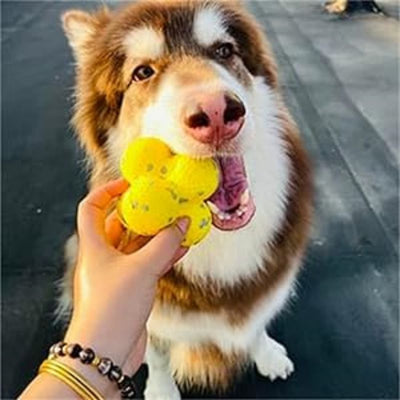 Fairval Yellow Fairval Dog toys Mellow Dog Calming Ball - Personalized for Your Pet