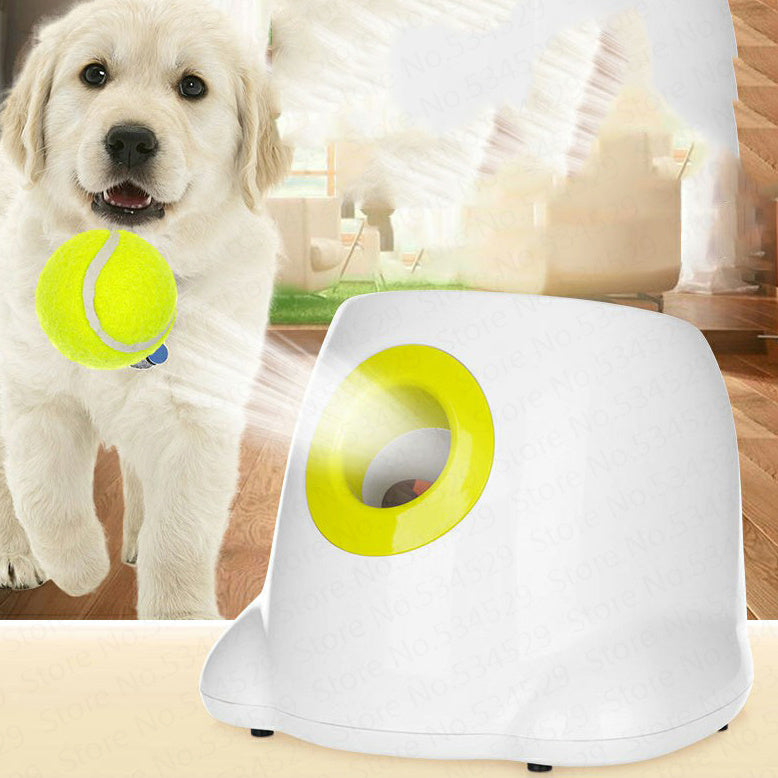 Fairval Diameter 5cm 36pcs Fairval My Pet's Best Friend - Automatic Ball Launcher