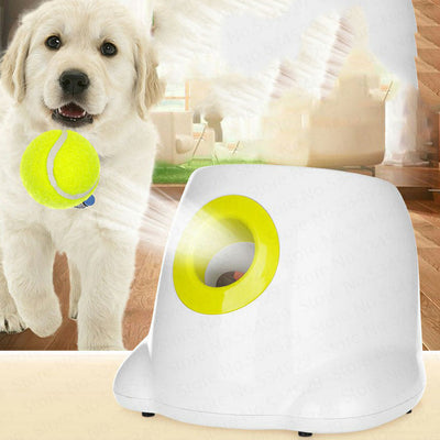 Fairval Diameter 5cm 36pcs Fairval My Pet's Best Friend - Automatic Ball Launcher