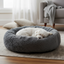 Small fluffy dog in grey bed